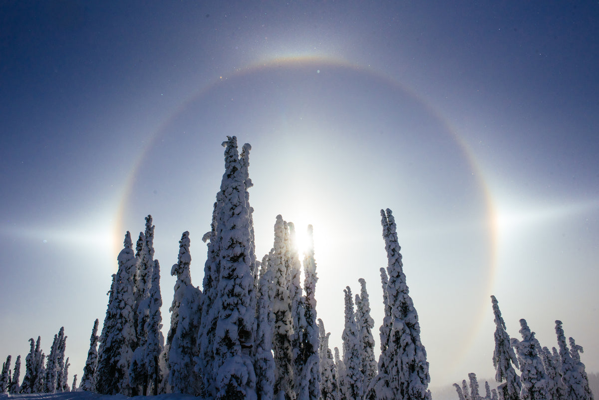 SUN DOG