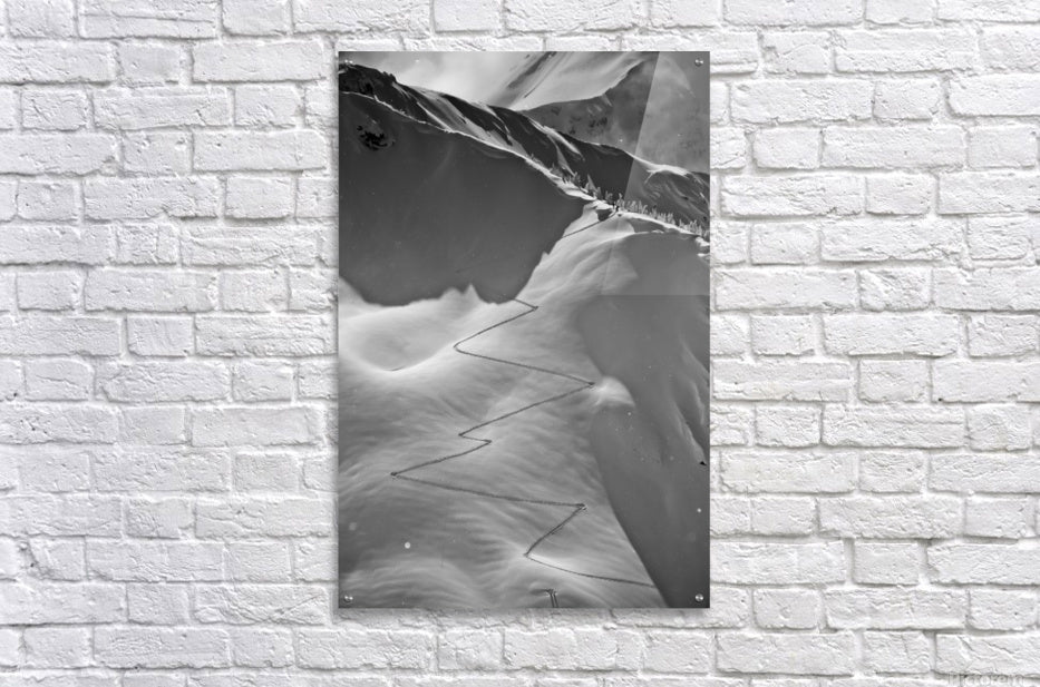 Acrylic Print