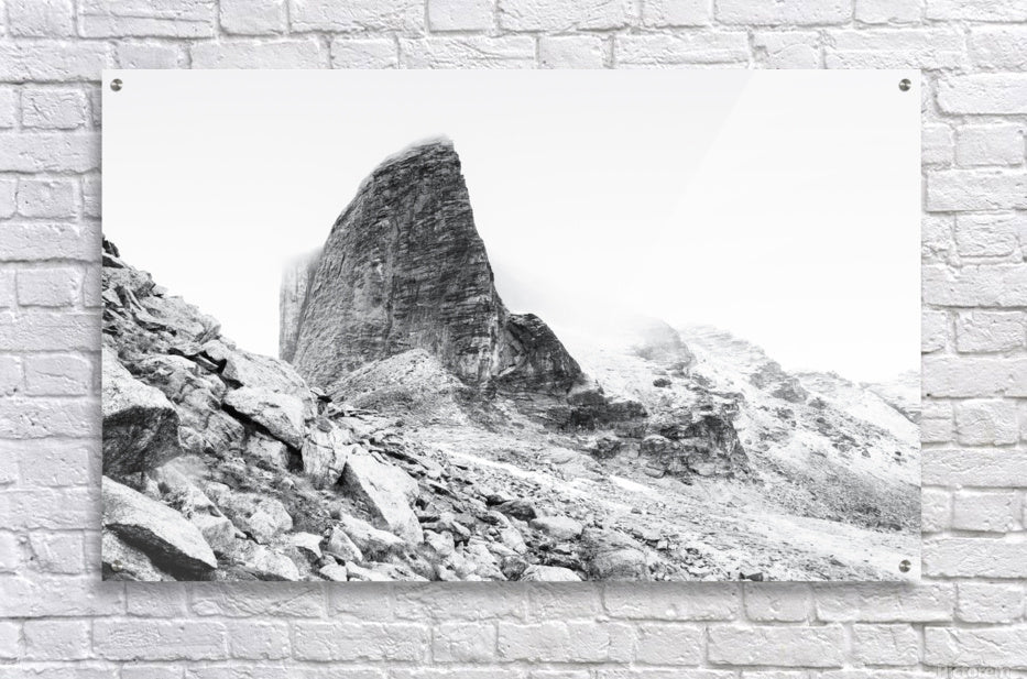 Acrylic Print