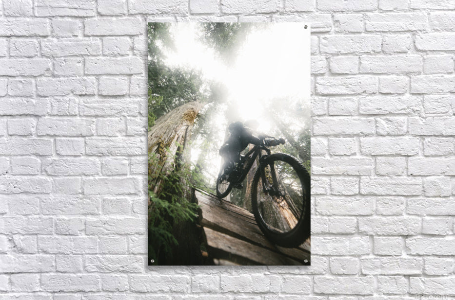 Acrylic Print