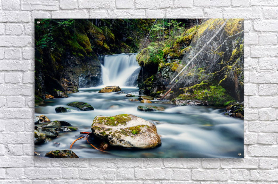 Acrylic Print