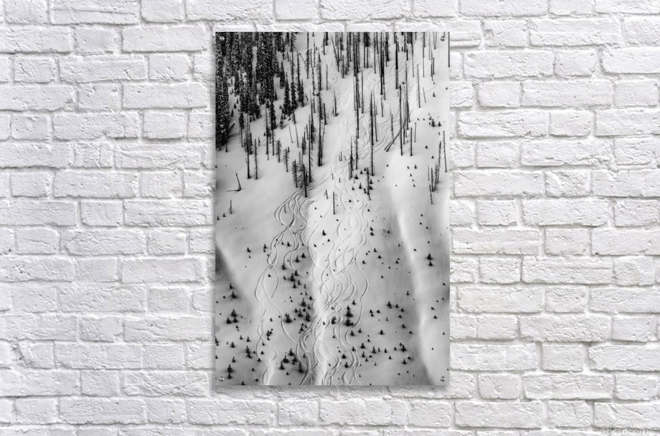 Acrylic Print