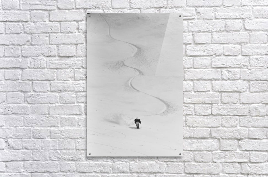 Acrylic Print