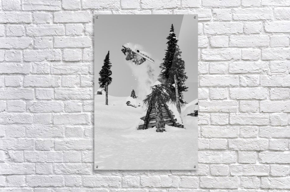 Acrylic Print