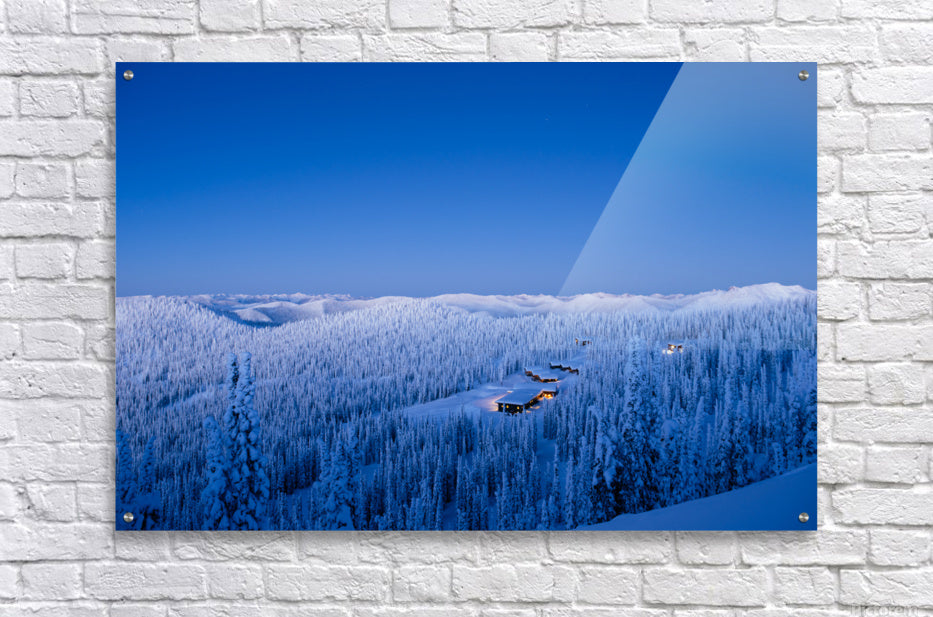 Acrylic Print