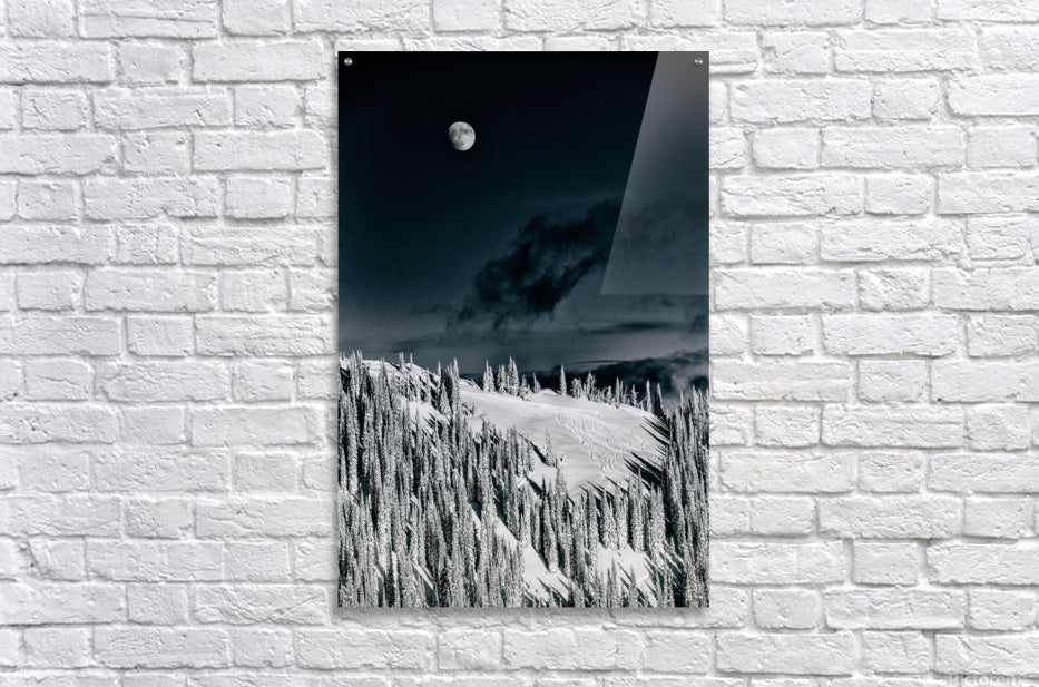 Acrylic Print