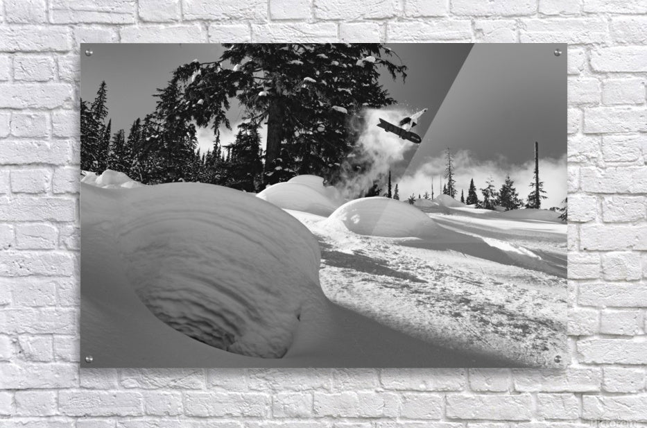 Acrylic Print