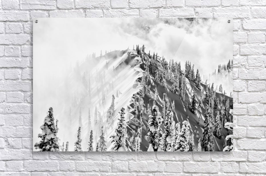 Acrylic Print