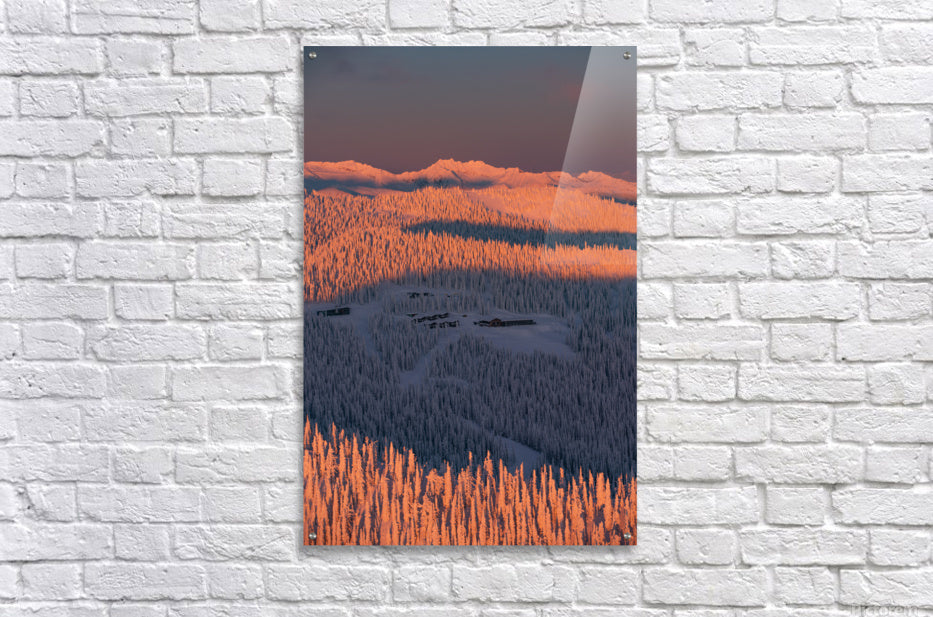 Acrylic Print