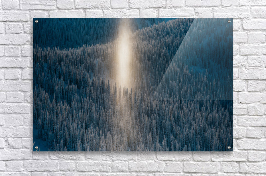 Acrylic Print