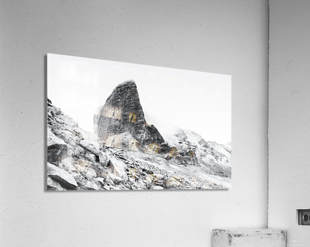Acrylic Print