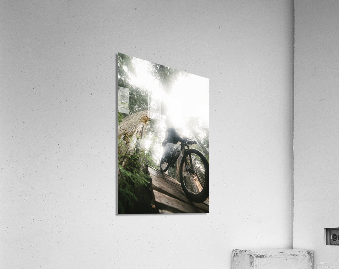 Acrylic Print