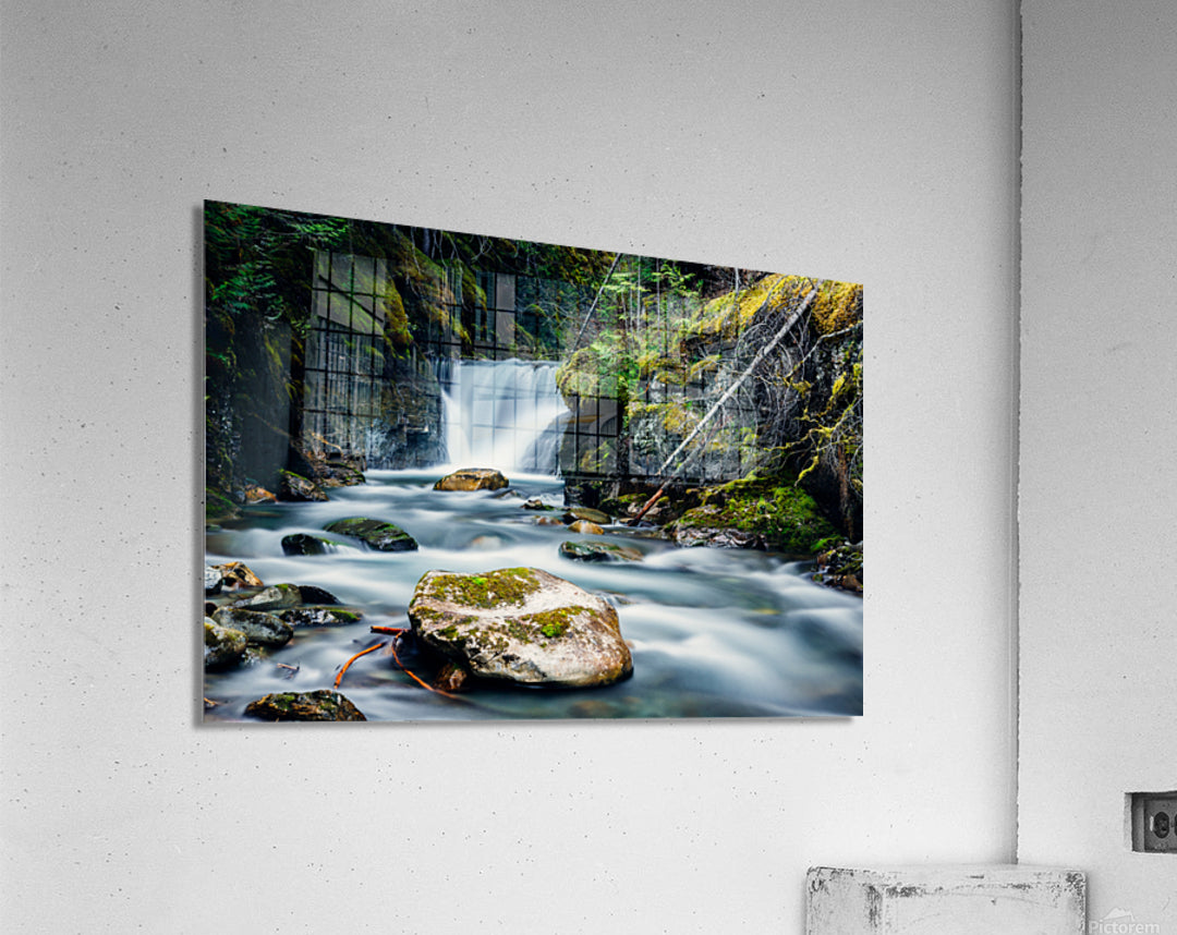 Acrylic Print