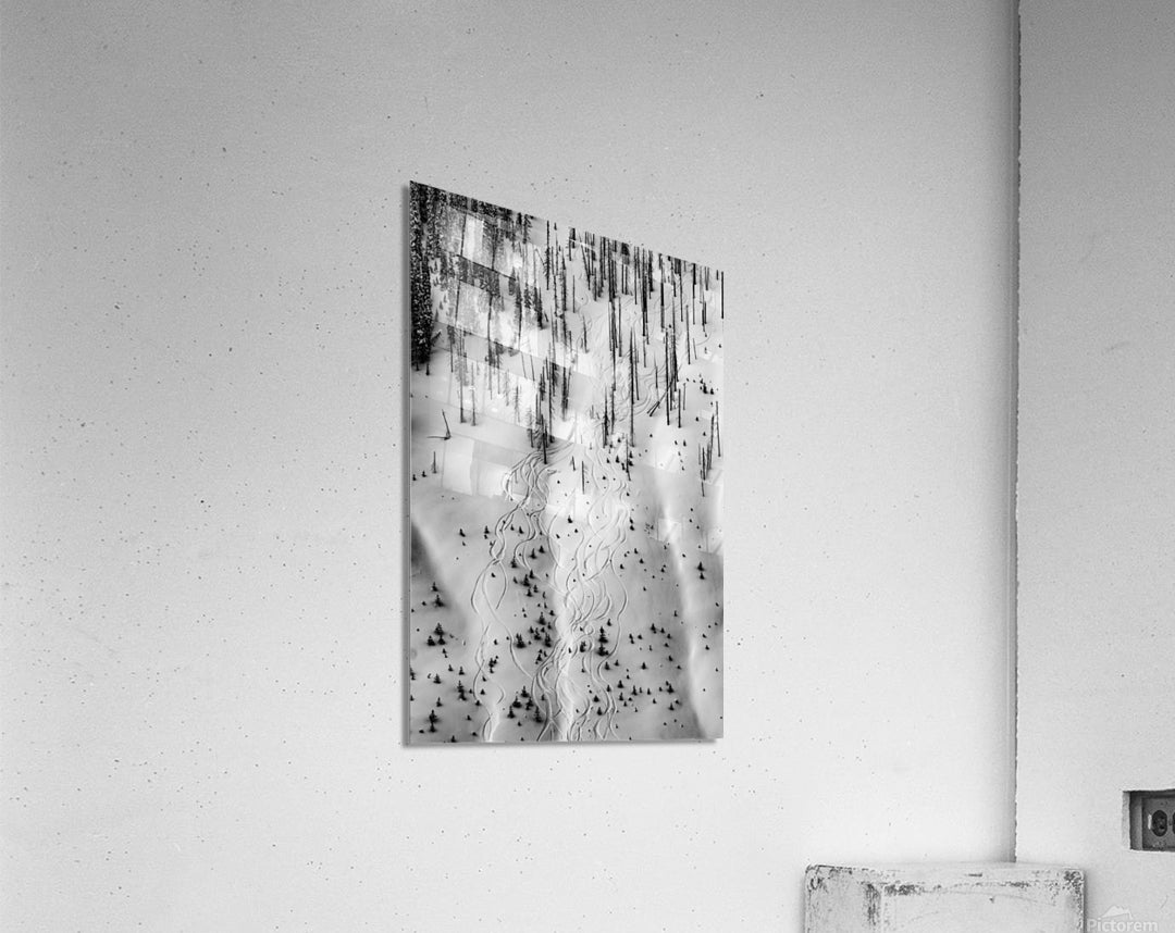 Acrylic Print