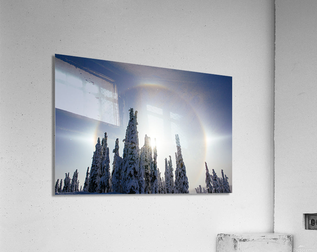 Acrylic Print