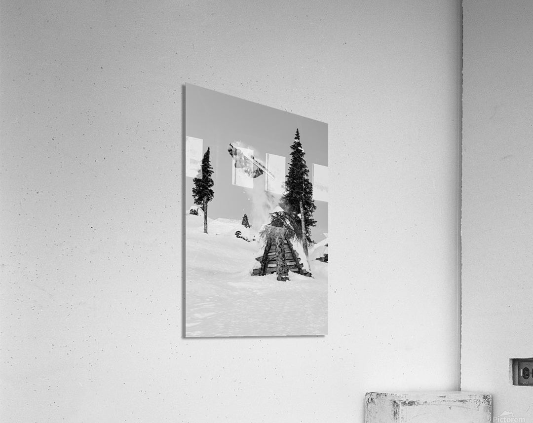 Acrylic Print