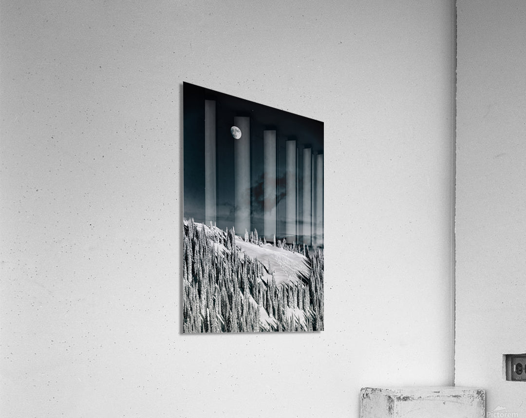 Acrylic Print