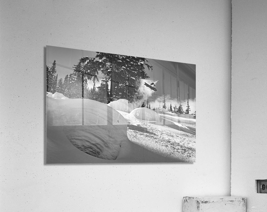 Acrylic Print