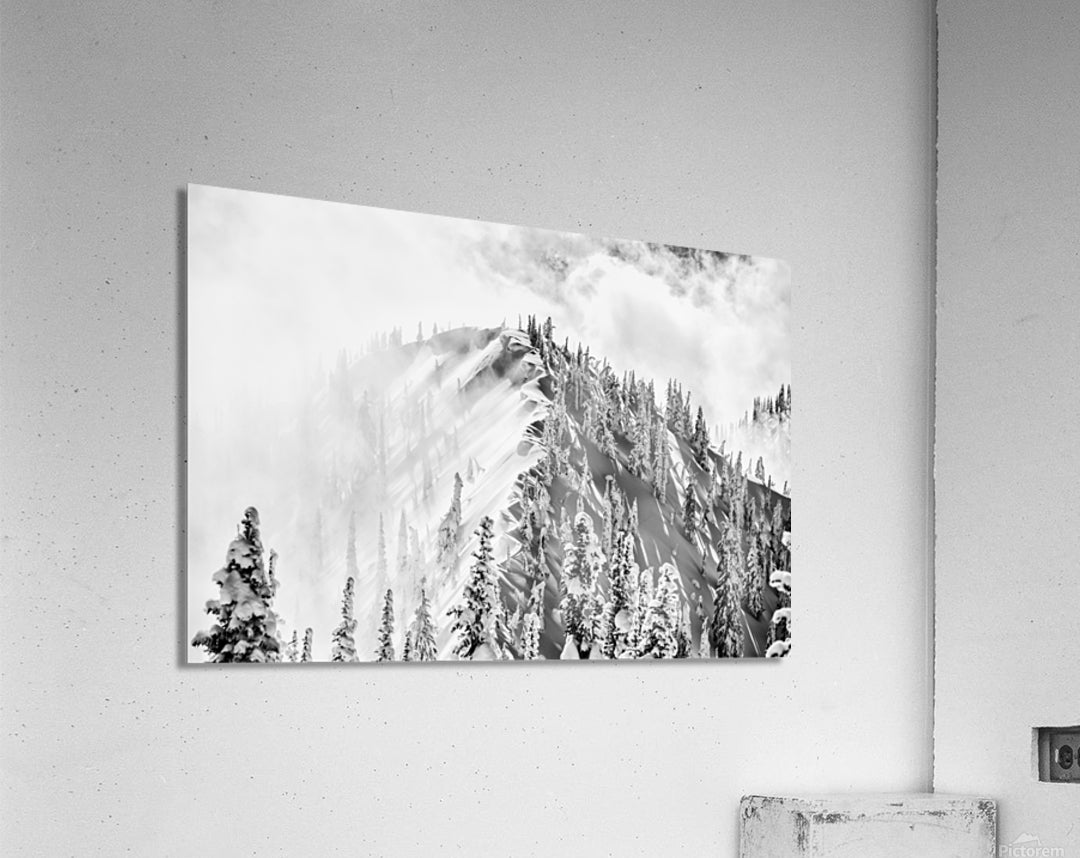 Acrylic Print