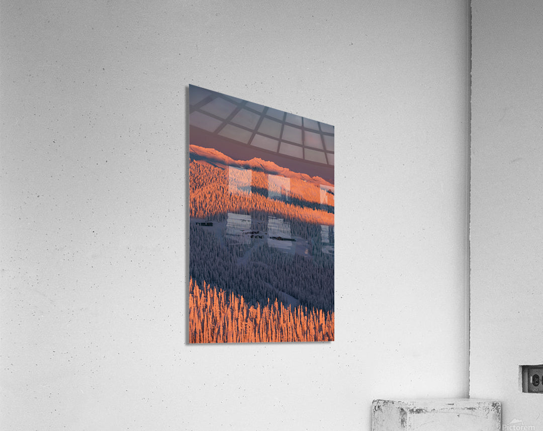 Acrylic Print