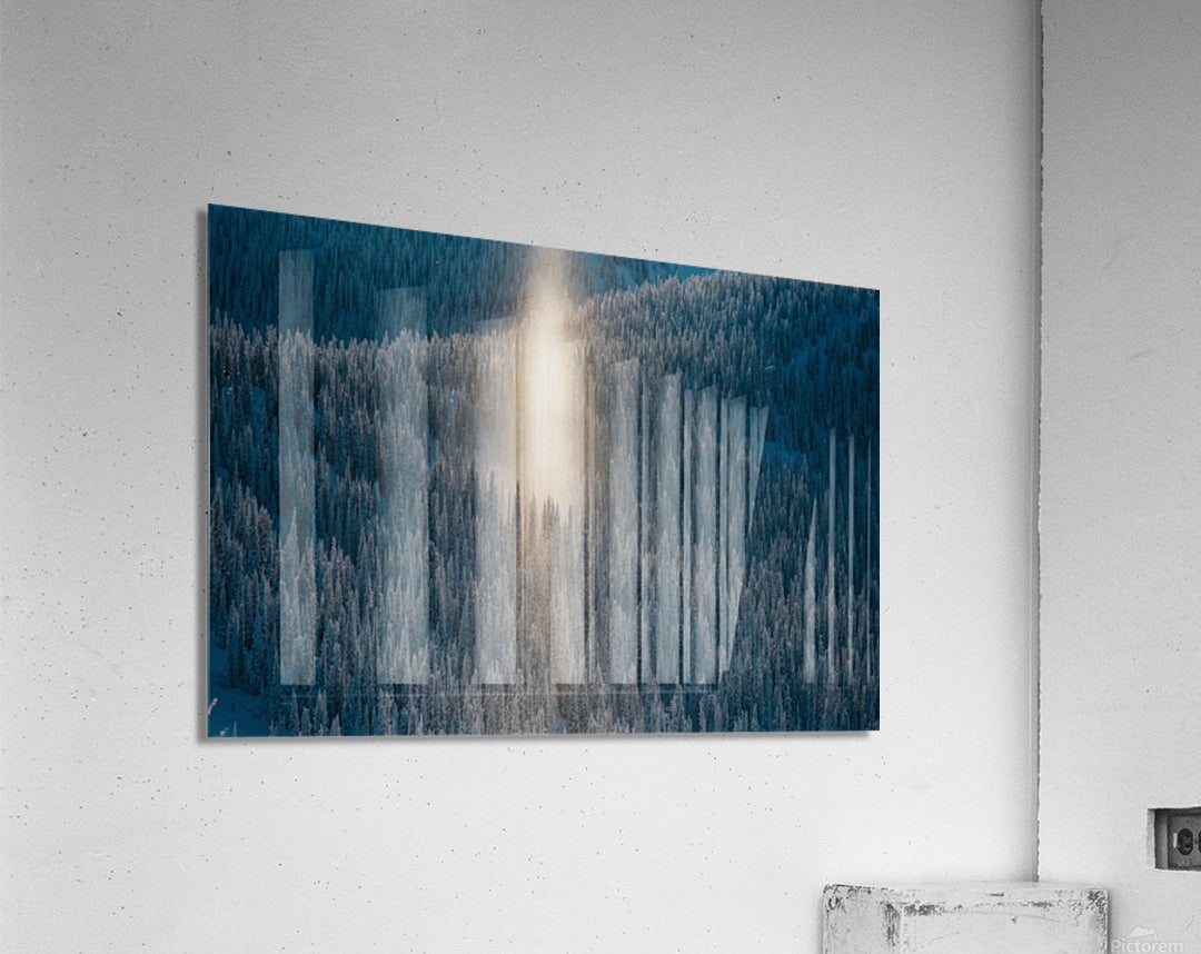 Acrylic Print