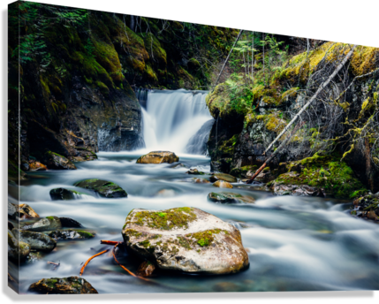 Giclée Stretched Canvas Print