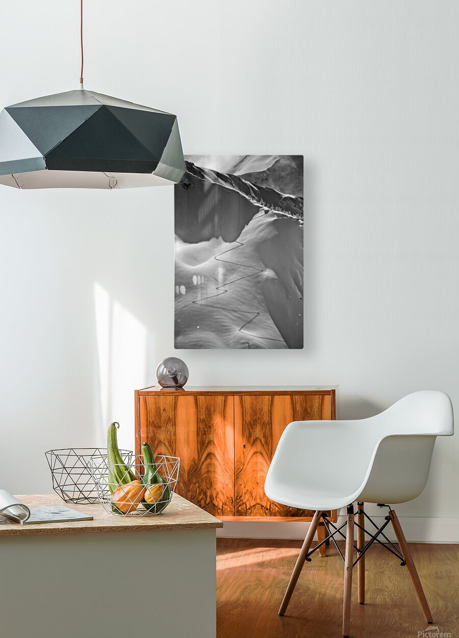 HD Sublimation Metal Print