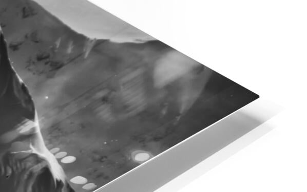 HD Sublimation Metal Print