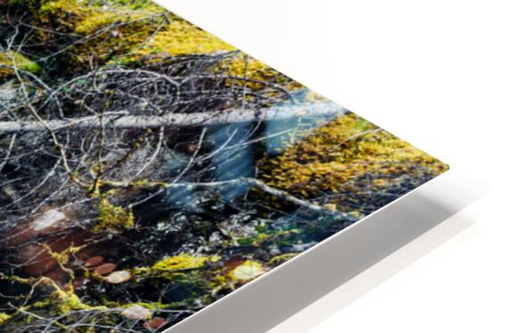 HD Sublimation Metal Print