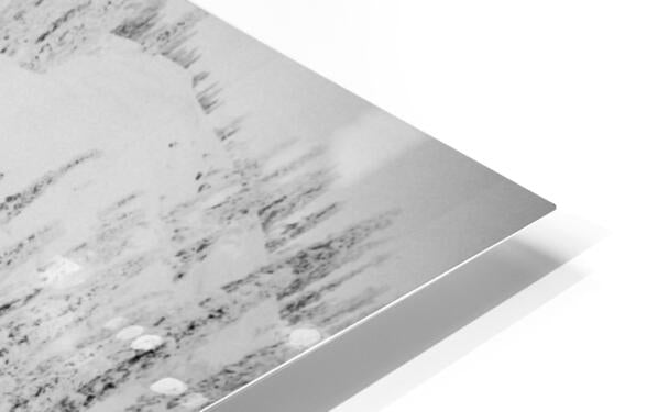 HD Sublimation Metal Print