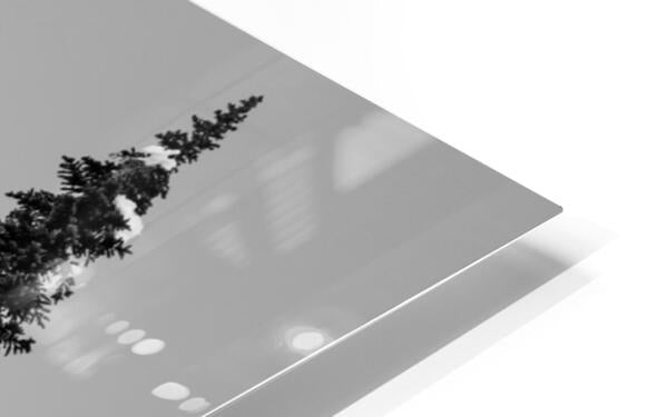 HD Sublimation Metal Print
