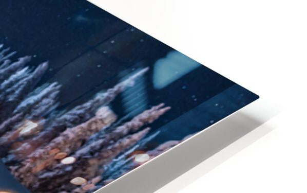 HD Sublimation Metal Print