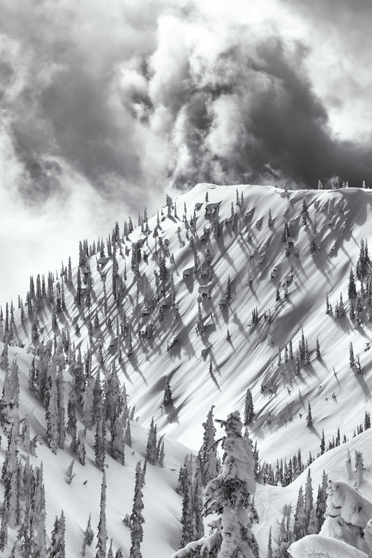 SUPER NATURAL | SCARY CHERRY